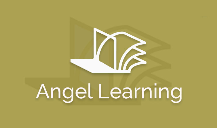 Angel Learning