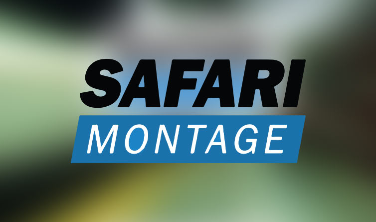Safari Montage